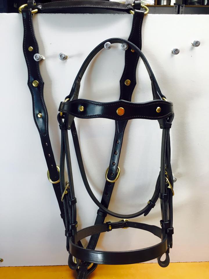 Scalloped Bridle set with Studs